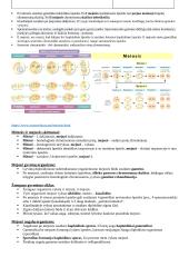 Genetinės informacijos perdavimas iš kartos kartai 3 puslapis