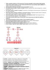 Genetinės informacijos perdavimas iš kartos kartai 4 puslapis