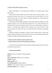 Biologijos pamokos higieninė charakteristika 3 puslapis