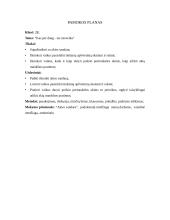 Pamokos planas-konspektas: "Kas per daug — tas nesveika" 2 puslapis