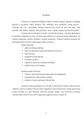 Pamokos planas: "Vitaminai per dailės pamoką" 3 puslapis