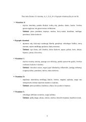 Pamokos planas: "Vitaminai per dailės pamoką" 4 puslapis