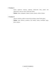 Pamokos planas: "Vitaminai per dailės pamoką" 5 puslapis