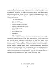 Pamokos planas: "Vitaminai per dailės pamoką" 6 puslapis