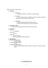 Pamokos planas: "Vitaminai per dailės pamoką" 7 puslapis