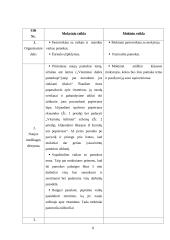 Pamokos planas: "Vitaminai per dailės pamoką" 8 puslapis