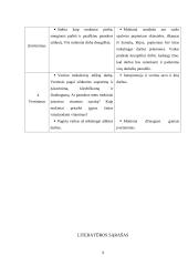 Pamokos planas: "Vitaminai per dailės pamoką" 9 puslapis