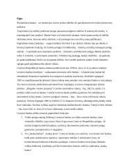 Pamokos planas: bankų sistema 2 puslapis