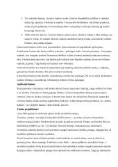 Pamokos planas: bankų sistema 3 puslapis