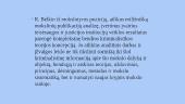Rafailo Belkino koncepcija apie kriminalistikos teorinius pagrindus 4 puslapis