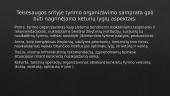 Kriminalistinė nusikaltimų tyrimo organizavimo teorija 13 puslapis