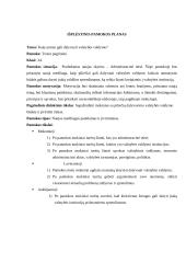 Pamokos planas: valstybės valdymas