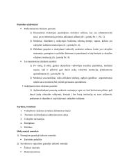 Pamokos planas: valstybės valdymas 2 puslapis