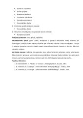 Pamokos planas: valstybės valdymas 3 puslapis