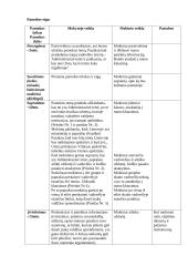 Pamokos planas: valstybės valdymas 4 puslapis