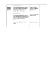 Pamokos planas: valstybės valdymas 5 puslapis