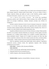 Slaugytojo veikla vėjaraupių profilaktikoje 2 puslapis