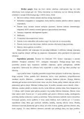 Slaugytojo veikla vėjaraupių profilaktikoje 5 puslapis