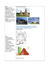 Pažinimo gebėjimų ugdomosios veiklos savaitės planas - aprašas 10 puslapis