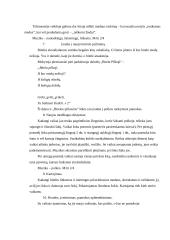 Pamokos projektas: choreografija "Bitela pilkoji" 3 puslapis