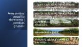 Amazonija (skaidrės) 7 puslapis