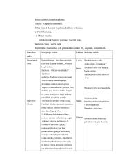 Kūno kultūros pamokų planas