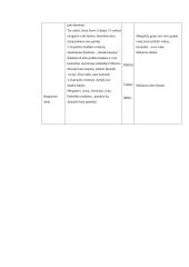 Kūno kultūros pamokų planas 2 puslapis