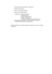 Kūno kultūros pamokų planas 14 puslapis