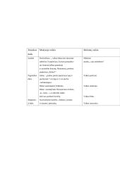 Kūno kultūros pamokų planas 17 puslapis