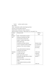 Kūno kultūros pamokų planas 18 puslapis