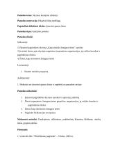 Pilietinės visuomenės pagrindų pamokos planas 2 puslapis