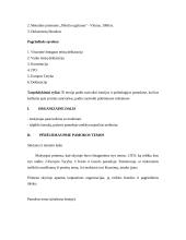 Pilietinės visuomenės pagrindų pamokos planas 3 puslapis