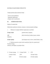 Pilietinės visuomenės pagrindų pamokos planas 4 puslapis