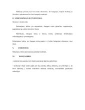 Pilietinės visuomenės pagrindų pamokos planas 6 puslapis