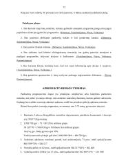 Išmanieji guminiai batai - produkto idėja 11 puslapis