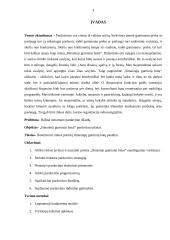 Išmanieji guminiai batai - produkto idėja 2 puslapis