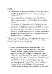 Vertybių analizė Šatrijos raganos „Sename dvare“