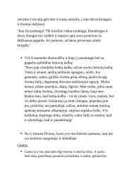 Vertybių analizė Šatrijos raganos „Sename dvare“ 7 puslapis