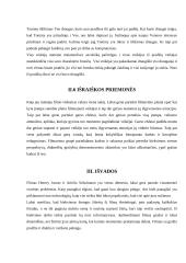 Filmo „Nerve“ menotyrinė analizė 6 puslapis