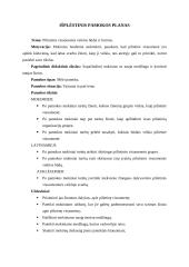 Pilietinio ugdymo pamokos išplėstinis planas: "Pilietinės visuomenės veiklos būdai ir formos" 2 puslapis