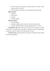 Pilietinio ugdymo pamokos išplėstinis planas: "Pilietinės visuomenės veiklos būdai ir formos" 3 puslapis