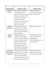 Pilietinio ugdymo pamokos išplėstinis planas: "Pilietinės visuomenės veiklos būdai ir formos" 4 puslapis