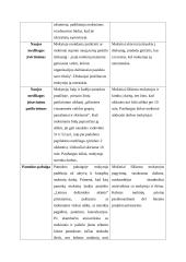 Pilietinio ugdymo pamokos išplėstinis planas: "Pilietinės visuomenės veiklos būdai ir formos" 6 puslapis