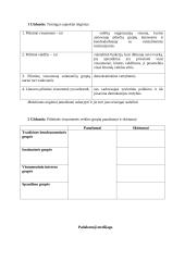 Pilietinio ugdymo pamokos išplėstinis planas: "Pilietinės visuomenės veiklos būdai ir formos" 8 puslapis