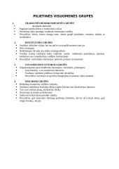 Pilietinio ugdymo pamokos išplėstinis planas: "Pilietinės visuomenės veiklos būdai ir formos" 9 puslapis