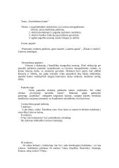 Popietės scenarijus: "Paviešėkime kaime"