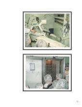 Priešmokyklinio ugdymo projektas: "Duonutė — mūsų motutė" 13 puslapis