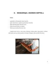 Priešmokyklinio ugdymo projektas: "Duonutė — mūsų motutė" 9 puslapis