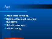 Elektromagnetinių bangų spektras. Skaidrės 14 puslapis
