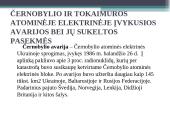 Radiacinės avarijos ir jų padariniai  4 puslapis